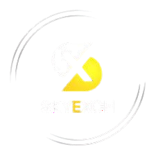 skyinplay